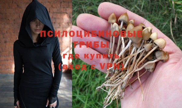 2c-b Куйбышев