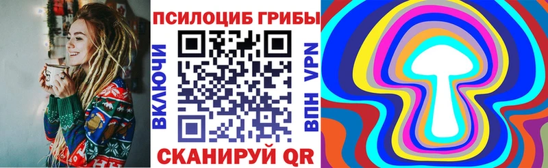 Галлюциногенные грибы Psilocybine cubensis  kraken вход  Моршанск  как найти наркотики 